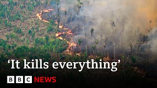 Amazon’s indigenous people hit by record forest fires in Brazil  BBC News [upl. by Ariela548]