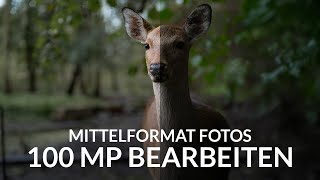 100 MP Bilder in Lightroom bearbeiten  Mittelformat mit der GFX100 II [upl. by Ludlew]