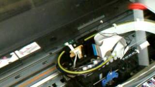 Epson 4800 Head Replacement part 1 [upl. by Tiffa]