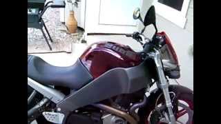 2007 Buell XB12Scg quotCherry Bombquot [upl. by Elmore]