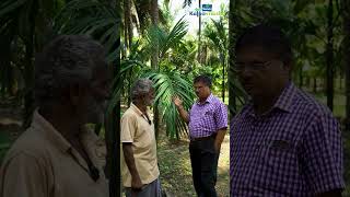 Leaf Rot Management in Arecanut Intercropped with Coconut [upl. by Nylyaj]