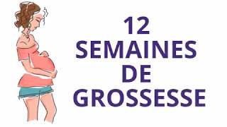 12 SEMAINES DE GROSSESSE OU Douzième semaine de grossesse [upl. by Sholeen]