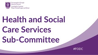 Health and Social Care Services SubCommittee 24072024 [upl. by Acinhoj]