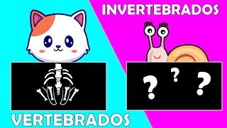 ANIMALES VERTEBRADOS E INVERTEBRADOS para niños 🐸🦁🐘🐟🐌 Videos Educativos [upl. by Jordon991]