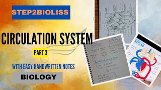 Circulation system l part 3l with easy handwritten notes l biology [upl. by Ecinna71]