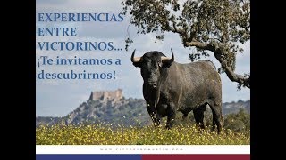 Así se embarcaron los Toros para la Corrida de la Prensa en Madrid [upl. by Gurtner]