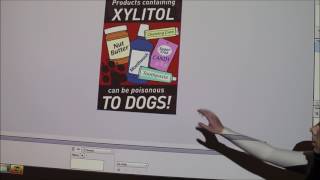 Lecture 6Principles of Toxicology and Antifreeze Chocolate Xylitol [upl. by Seleta]