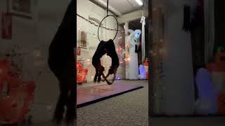 Aerial Hoop lyra Doubles Performance [upl. by Jakob333]