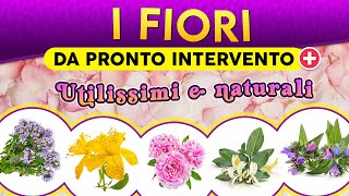 I Fiori da pronto intervento Utilissimi e naturali ► Puntata 194 [upl. by Kerman]