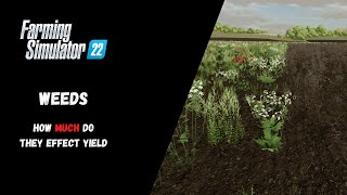 FS22  Weeds How Much Do They Effect Yield  Farming Simulator 22 [upl. by Kitty474]