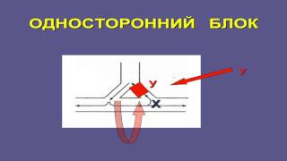 Мехнизмы reentry в кардологии физиология и субстрат Кошкина Е В [upl. by Lilly]