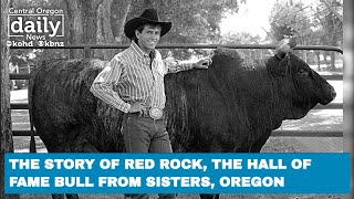 The story of Red Rock the Hall of Fame rodeo bull from Sisters Oregon [upl. by Salahi]