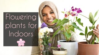 Flowering plants for indoors and Care tips  Malayalam Botanical Woman [upl. by Joline]