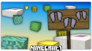 Minecraft Elytra Parkour [upl. by Suirtimid227]