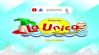 La Unica Tropical  Mix  DJ LULA  Partido En Dos Si Esta Casa Hablara Cual Adios Etc [upl. by Flint288]