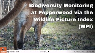 Biodiversity Monitoring Webinar 2020 [upl. by Viveca]