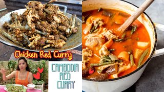 Chicken red curry recipe Coconut chicken curry Easy khmer red curry [upl. by Libnah]