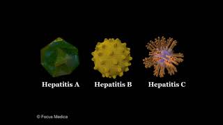 Viral hepatitis  Hepatology dictionary [upl. by Docia]