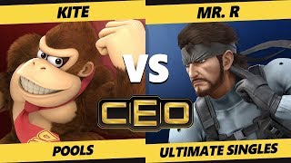 CEO 2019 SSBU  Kite DK Inkling Vs bc  Mr R Snake Smash Ultimate Tournament Pools [upl. by Akerehs118]