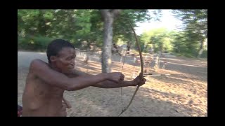 Kalahari Bushmen Bows and Poison Arrows [upl. by Natlus]