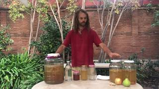 Receta Kombucha [upl. by Nirda]