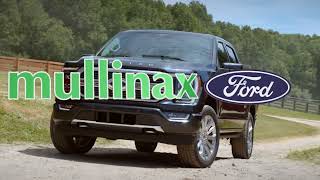 Go for Simple Easy Fun Mullinax Ford of Central Florida Car Buying Experience [upl. by Head]