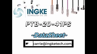 PTB2041PS DataSheet  ingketechnet [upl. by Morentz]