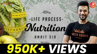 Nutrition Class 10  Life Processes Class 10 Science Biology  Mode of Nutrition NCERT Science Ch 6 [upl. by Jillayne777]