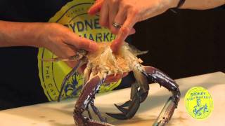 How to prepare a Blue Swimmer Crab for cooking [upl. by Martinelli]