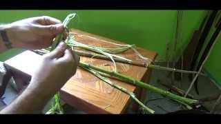 How to make cordage from Milkweed [upl. by Yboc749]