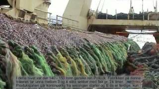 FISHING TRAWLING BIG BAG UNDERWATER [upl. by Dedrick]