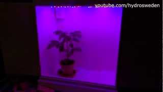 How to build a Grow Box  DIY LED Grow box [upl. by Annekim]