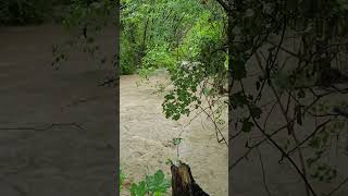 Heubach in Heiningen läuft über ☔️ hochwasser starkregen regen göppingen unwetter danger [upl. by Starling]