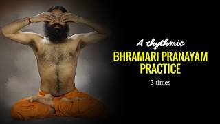 Rhythmic Music for Bhramari Pranayam Practice Baba Ramdev HummingBeeBreathing भ्रामरीप्राणायाम [upl. by Oni646]