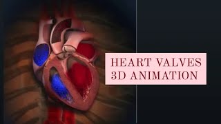 Heart Valves Revealed in Stunning 3D Animation [upl. by Latsyc]