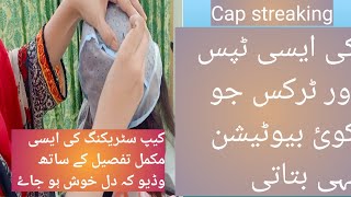 How to use Streaking Cap for cap streaking step by step Cap Streaking Tutorial in Detail [upl. by Leirud884]