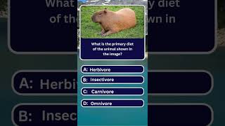 Intelligence Test  animals game kids shorts foryouquizze english [upl. by Aidan]