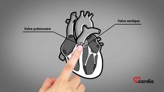 Anatomie du coeur  version française [upl. by Wernsman]