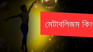 মেটাবলিজম কি What is metabolism [upl. by Mendy]