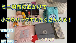 【バッグの中身】ロエベのお財布が大活躍👛 [upl. by Refiffej]