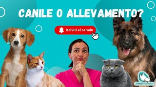 Allevamento o canile quale scelta va bene per me [upl. by Atiram]