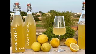 How to make LEMON WINE at Home  🍋 Homemade LEMON WINE recipe [upl. by Jaal]