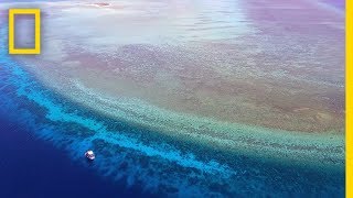 Explore One of the Most Pristine Coral Reefs in the World  National Geographic [upl. by Tikna414]