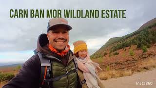 Wildland Estate Cairngorms Carn Ban Mor walk Waterfalls wild winds and peregrines [upl. by Isnam608]