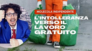 Lintolleranza verso il lavoro gratuito  Molecola Indipendente [upl. by Inalaehak609]