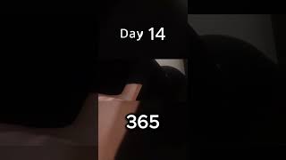 365 pushup challenge  day 15 meditatewithgibsonshorts pushupchallenge pushups fitness [upl. by Annaear190]