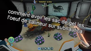 comment avoir les sac de gel et loeuf de calineur sur subnautica [upl. by Aihtenyc456]