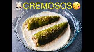 PIMIENTOS VERDES RELLENOS de CARNE MOLIDA  con SALSA BECHAMEL🍽️🫑🫑 [upl. by Lemart]