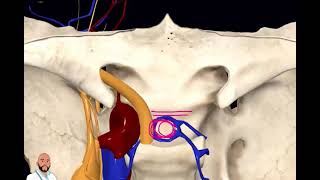 ANATOMÍA DEL HUESO ESFENOIDES 3D [upl. by Adel]