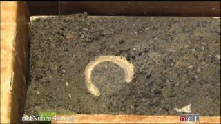 Reading Antarcticas Rock Cores  Antarcticas Climate Secrets [upl. by Eihpos]